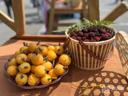 山水旅情牵线，文旅助农惠万家——无锡山水城同心惠农活动暨文化旅游节启动