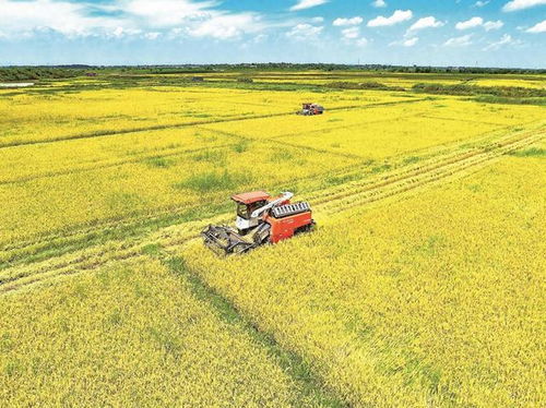 稳住农业基本盘 筑牢 三农 压舱石