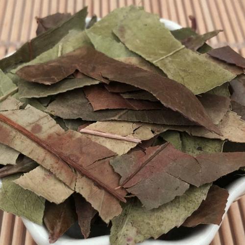 石楠叶红树叶500g大货初级农产品 中华药都大货批发散装石南叶